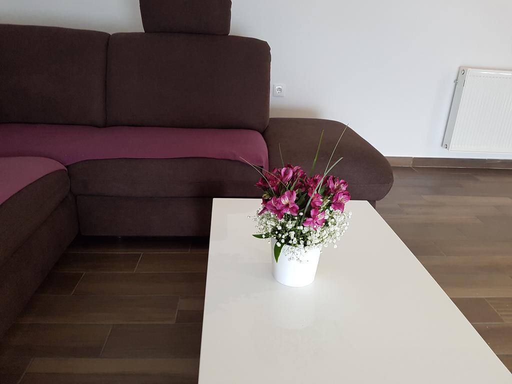 Apartments Tereza Senj  Exterior photo
